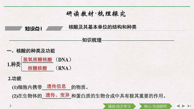 第5节　核酸是遗传信息的携带者课件PPT02