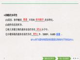 第5节　核酸是遗传信息的携带者课件PPT