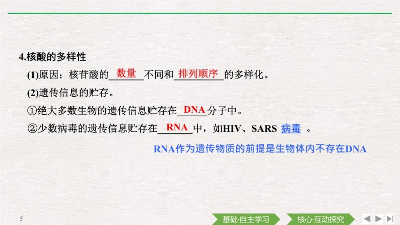 第5节　核酸是遗传信息的携带者课件PPT05