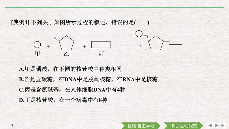 第5节　核酸是遗传信息的携带者课件PPT08