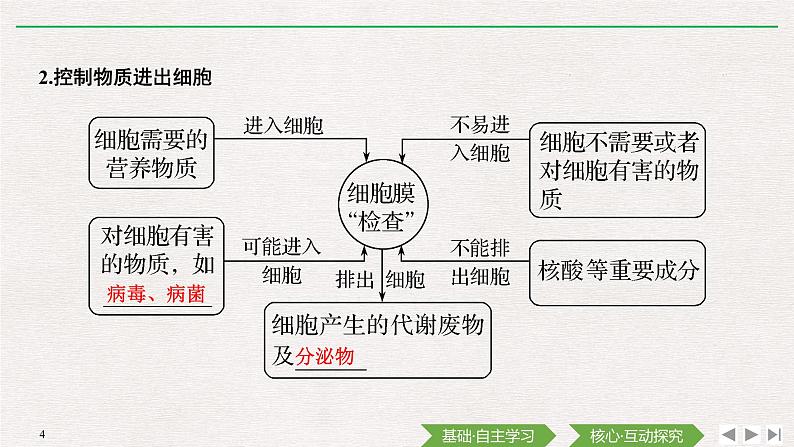 第1节　细胞膜的结构和功能课件PPT第4页