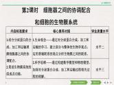 第2节　细胞器之间的分工合作第2课时　细胞器之间的协调配合和细胞的生物膜系统课件PPT