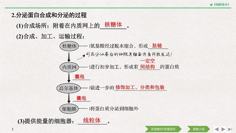 第2节　细胞器之间的分工合作第2课时　细胞器之间的协调配合和细胞的生物膜系统课件PPT第3页