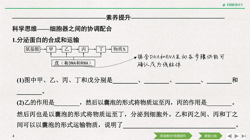 第2节　细胞器之间的分工合作第2课时　细胞器之间的协调配合和细胞的生物膜系统课件PPT第4页