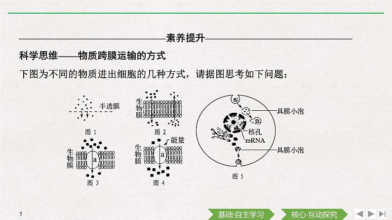 第2节　主动运输与胞吞、胞吐课件PPT第5页