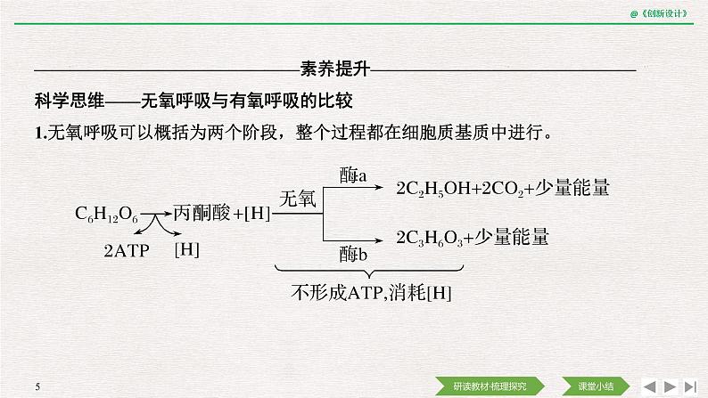 第3节　细胞呼吸的原理和应用第2课时　无氧呼吸、细胞呼吸的影响因素及应用课件PPT05