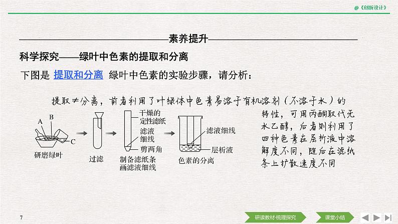 第4节　光合作用与能量转化第1课时　捕获光能的色素和结构课件PPT07