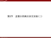 高效课堂同步课件：1-2孟德尔的豌豆杂交实验（二）（必修2） (2)