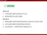 高效课堂同步课件：1-2孟德尔的豌豆杂交实验（二）（必修2） (2)