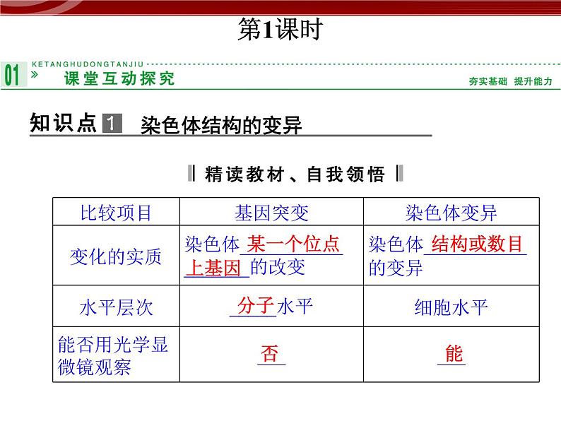 高效课堂同步课件：5-2-1染色体变异（必修2）03