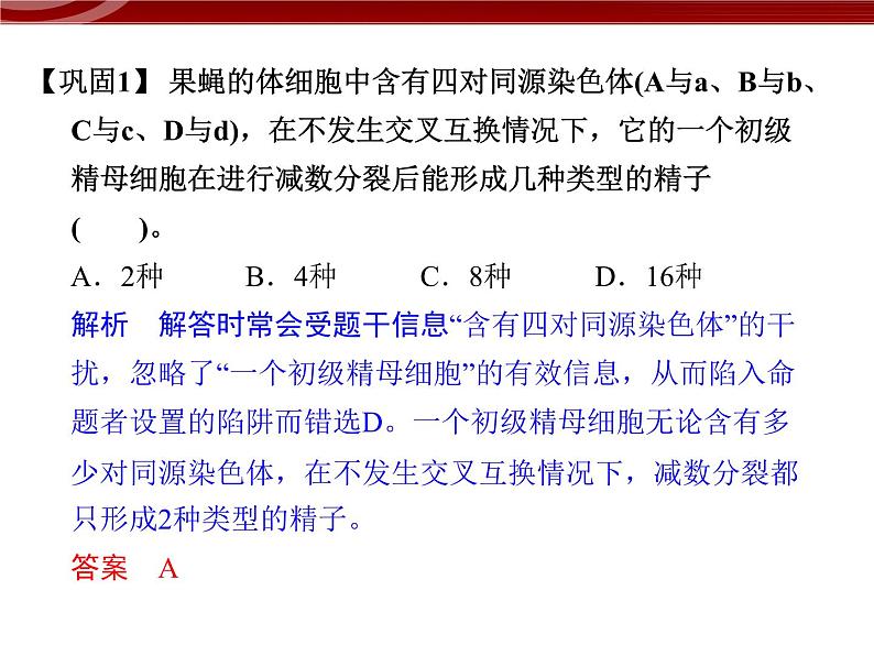 高效课堂同步课件：2-1-2减数分裂和受精作用（必修2）06