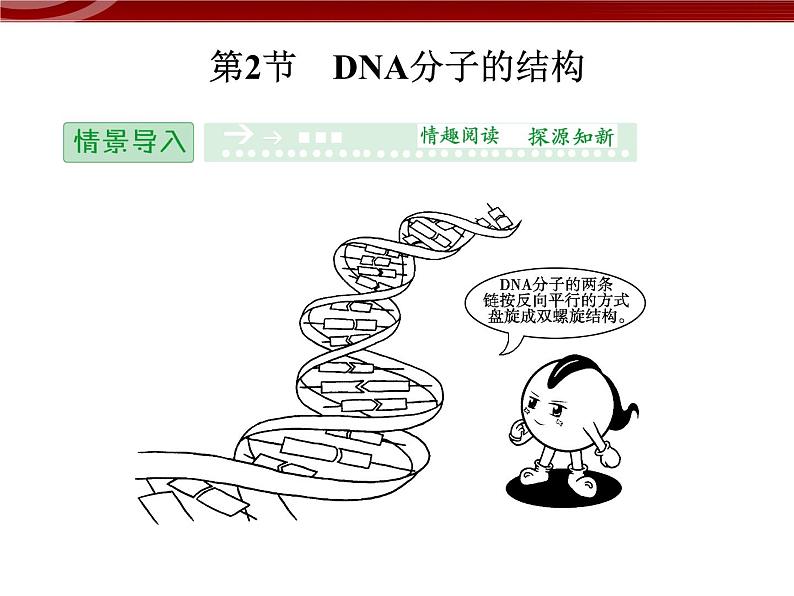 高效课堂同步课件：3-2DNA分子的结构（必修2）第1页