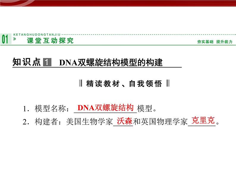 高效课堂同步课件：3-2DNA分子的结构（必修2）第3页