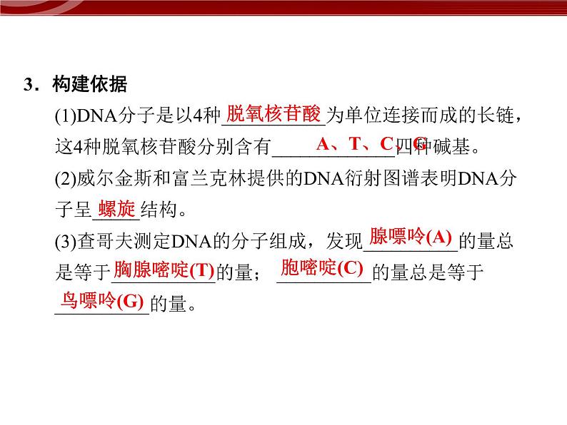 高效课堂同步课件：3-2DNA分子的结构（必修2）第4页