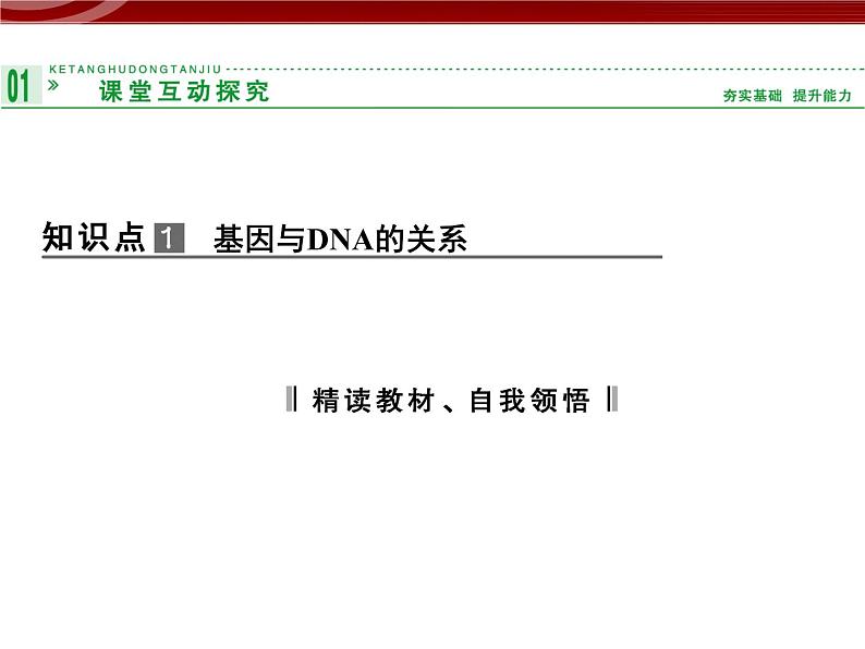 高效课堂同步课件：3-4基因是有遗传效应的DNA片段（必修2）03