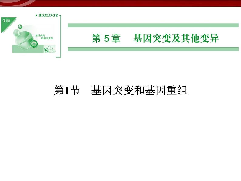 高效课堂同步课件：5-1基因突变和基因重组（必修2）第1页