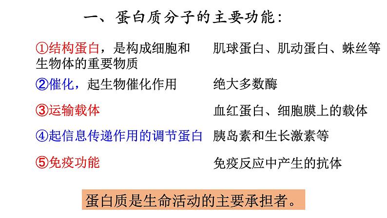 新教材必修一 2.4 蛋白质是生命活动的主要承担者课件PPT第5页