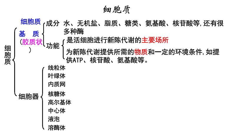 新教材必修一 3.2 细胞器之间的分工合作课件PPT第2页