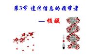 高中生物人教版 (2019)必修1《分子与细胞》第5节 核酸是遗传信息的携带者备课课件ppt