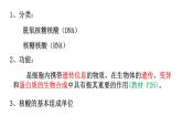 新教材必修一 2.5 核酸是遗传信息的携带者课件PPT