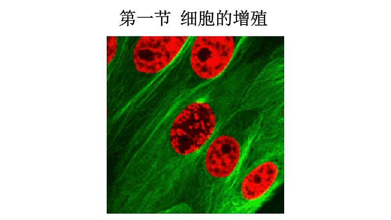 新教材必修一 6.1 细胞的增殖课件PPT01