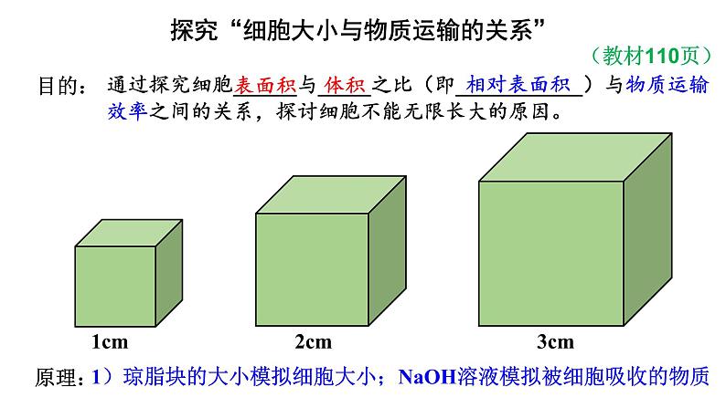 新教材必修一 6.1 细胞的增殖课件PPT04