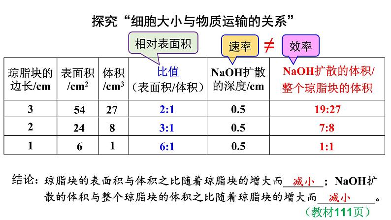 新教材必修一 6.1 细胞的增殖课件PPT08