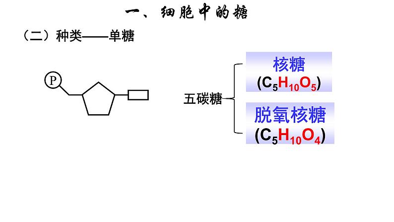 新教材必修一 2.3 细胞中的糖类和脂质课件PPT第7页