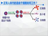 新教材必修一 6.2 细胞的分化课件PPT