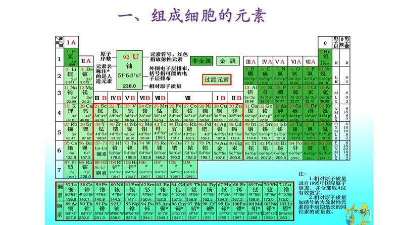 新教材必修一 2.1 细胞中的元素和化合物课件PPT第2页