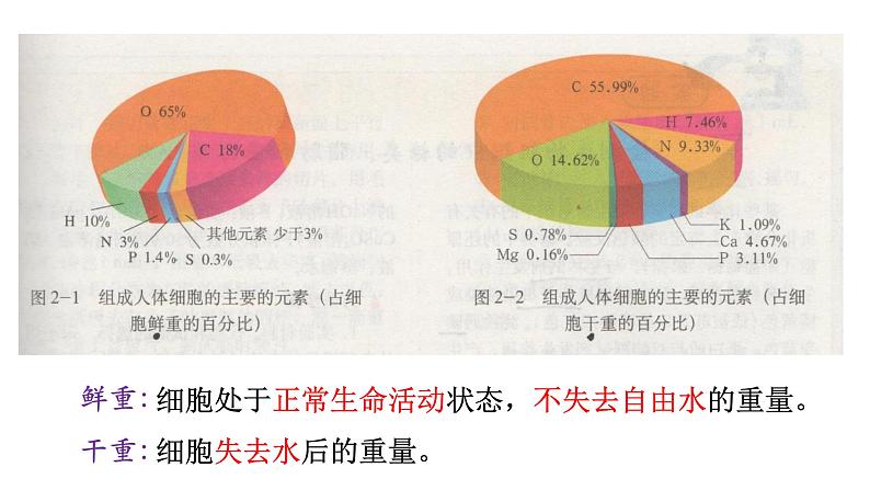 新教材必修一 2.1 细胞中的元素和化合物课件PPT第8页