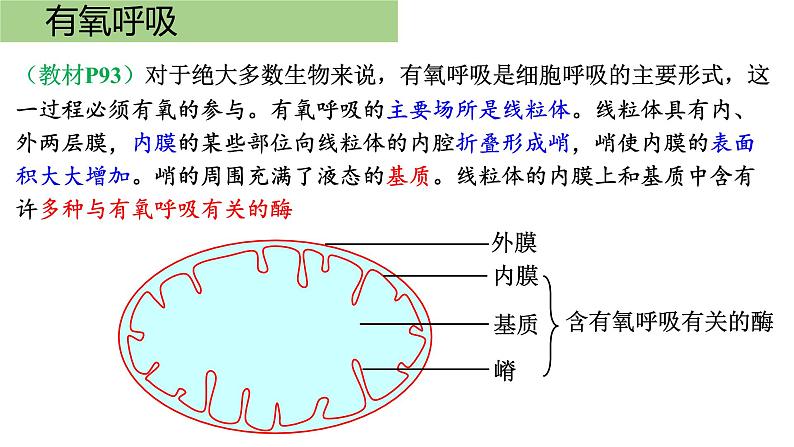 新教材必修一 5.3 细胞呼吸的原理和应用课件PPT04