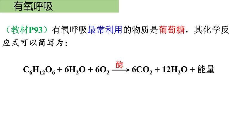 新教材必修一 5.3 细胞呼吸的原理和应用课件PPT05