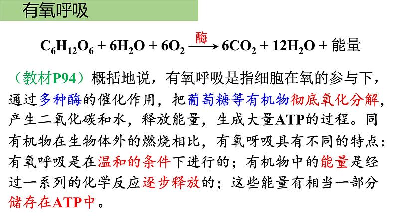 新教材必修一 5.3 细胞呼吸的原理和应用课件PPT08