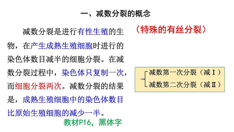 高中生物必修二 2.1 减数分裂与受精课件PPT04