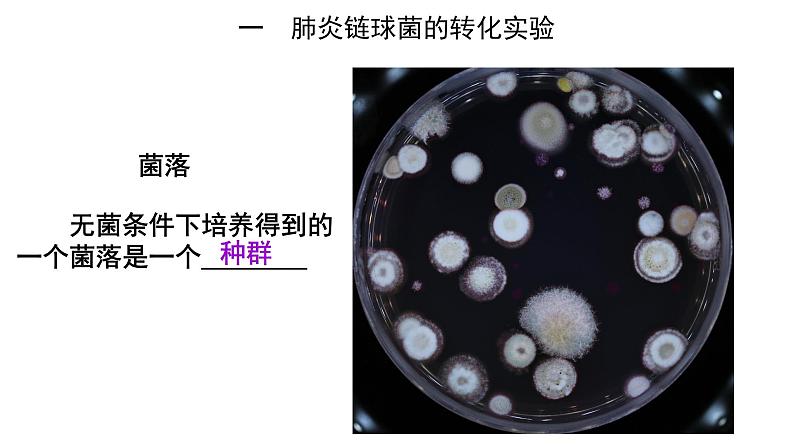 高中生物必修二 3.1 DNA是主要的遗传物质课件PPT02