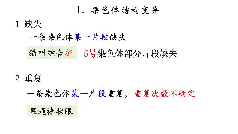 高中生物必修二 5.2 染色体变异课件PPT02