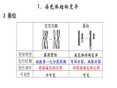 高中生物必修二 5.2 染色体变异课件PPT