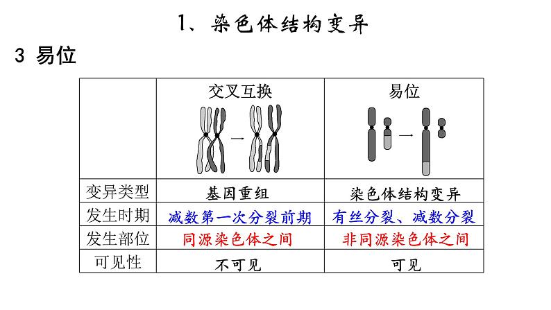 高中生物必修二 5.2 染色体变异课件PPT04