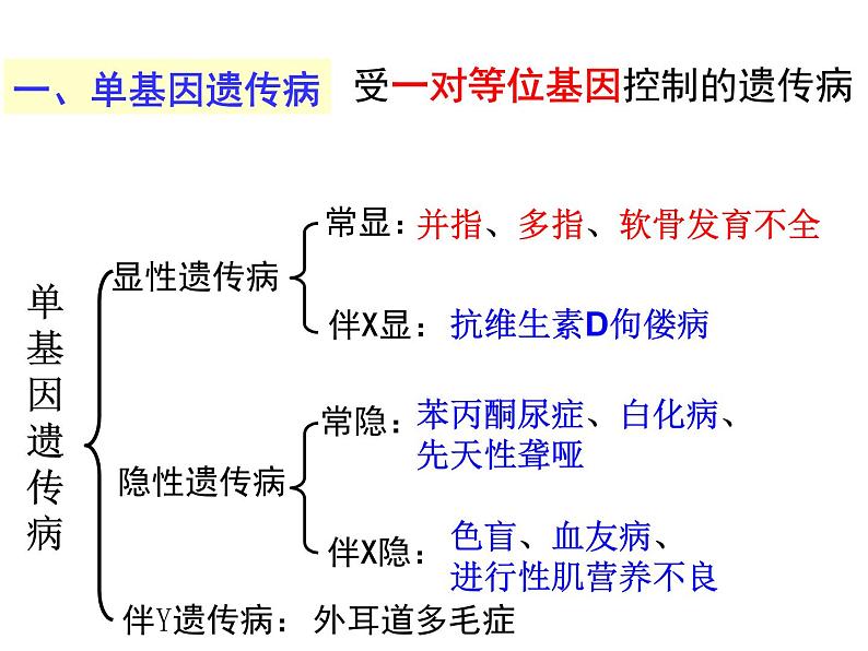 高中生物必修二 5.3 人类遗传病课件PPT03