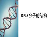 高中生物必修二 3.2 DNA分子的结构课件PPT
