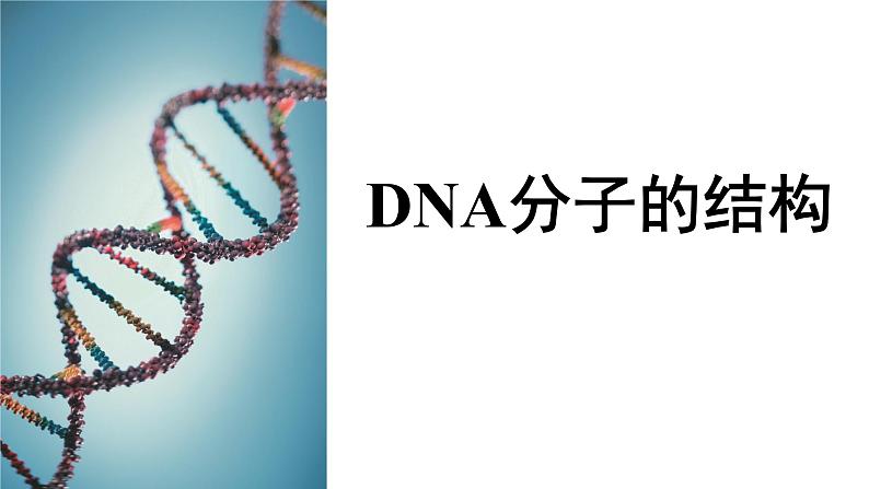 高中生物必修二 3.2 DNA分子的结构课件PPT01