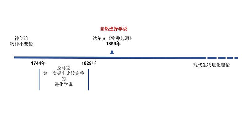 高中生物必修二 7.1 现代生物进化理论的由来课件PPT05