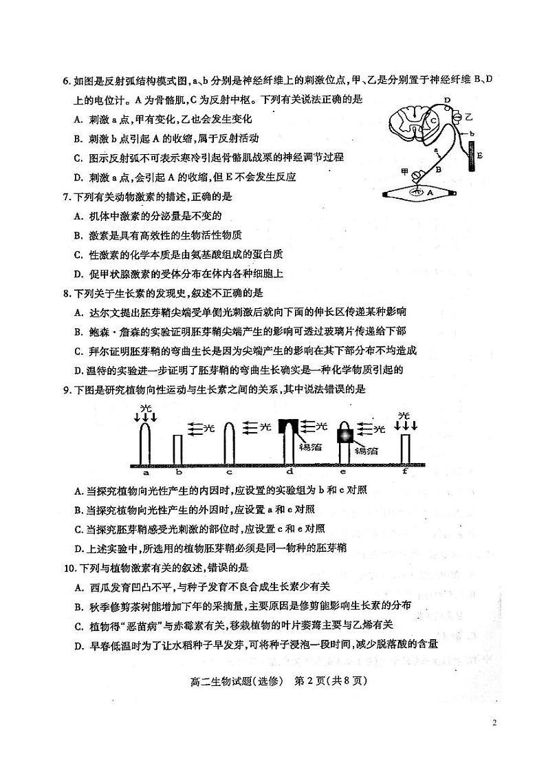 2020-2021学年江苏省徐州市高二上学期期中考试生物试题（选修） PDF版02