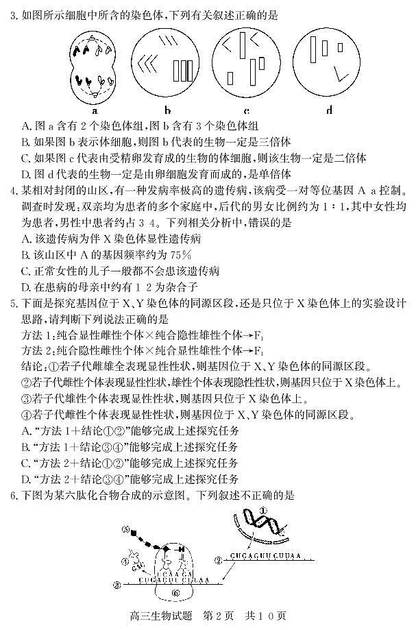 山东省济宁市兖州区2022届高三上学期期中考试生物试题PDF版含答案02