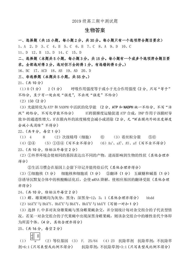 山东省济宁市兖州区2022届高三上学期期中考试生物试题PDF版含答案01