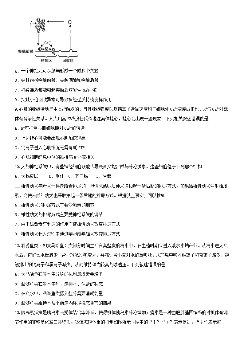 山东省枣庄市薛城区2021-2022学年高二上学期期中考试生物试题含答案03