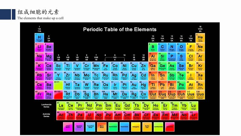 2.1.细胞中的元素和化合物课件PPT02
