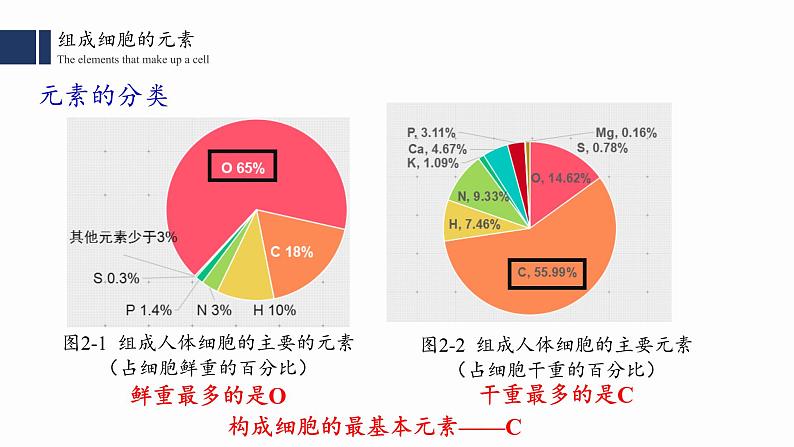 2.1.细胞中的元素和化合物课件PPT07