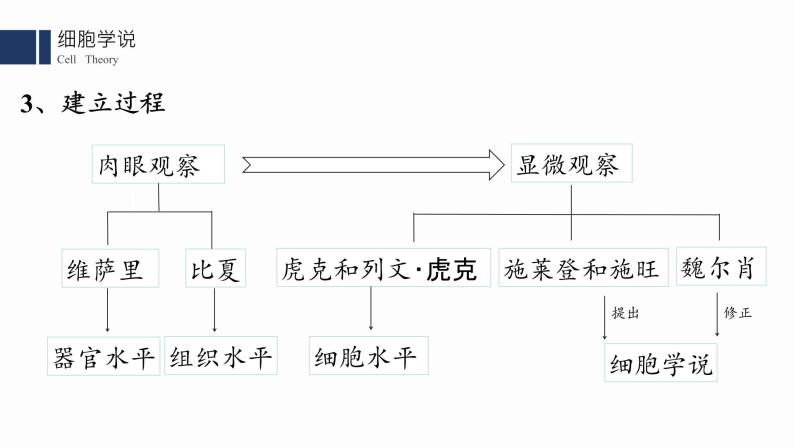 1.1.细胞是生命活动的基本单位课件PPT08